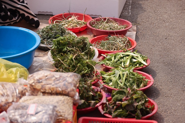 ▲ 양양전통시장에서 각종 봄나물이 판매되고 있다. ⓒ양양군