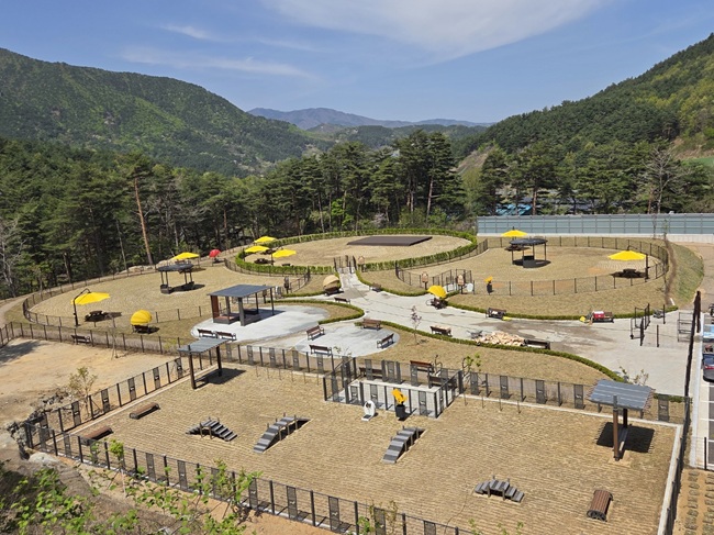 ▲ 강릉시가 오는 27일 '펫파크'를 임시개장한다. ⓒ강릉시