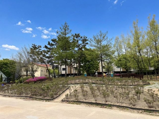 ▲ 고인돌공원에 조성된 ‘오산-허쩌 우정의 모란정원’ⓒ오산시 제공