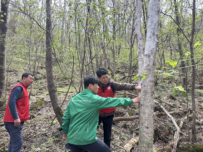▲ 송준호 북부지방산림청장이 21일 강원 홍천군에 위치한 운두령 특수활엽수단지를 방문해 산림생태계 보전 및 관리 현황을 점검했다. ⓒ북부지방산림청