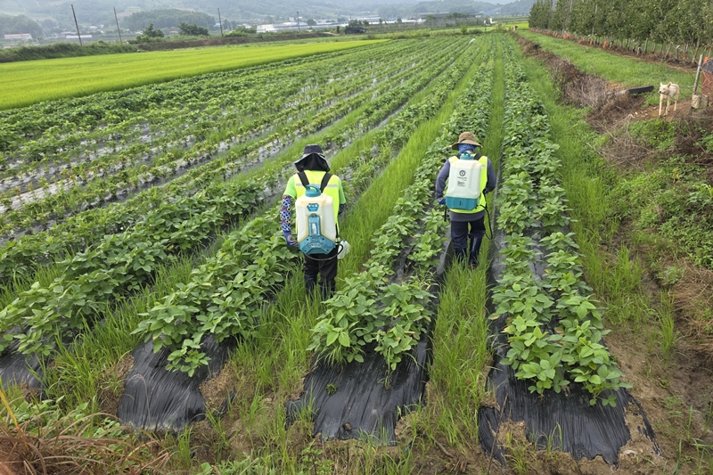 ▲ 충북 보은군 농촌 현장. ⓒ보은군