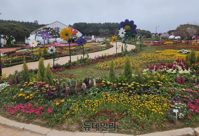 ▲ 태안군 안면도 꽃지해안공원 박람회장에 다양한 봄꽃과 대형 꽃 조형물이 어우러진 정원이 조성돼 관람객들에게 화려한 볼거리를 제공하고 있다.ⓒ이길표 기자