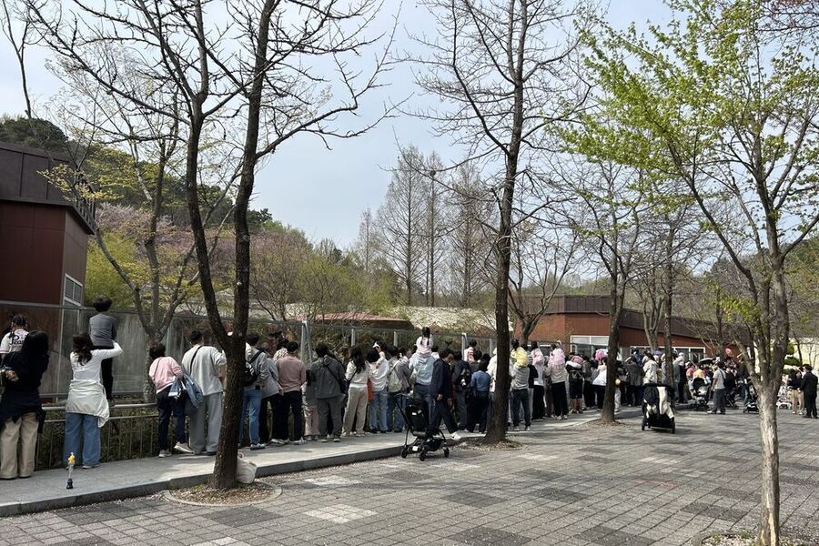 ▲ 동물과사는남자 _호광이 이야기ⓒ광주광역시 제공