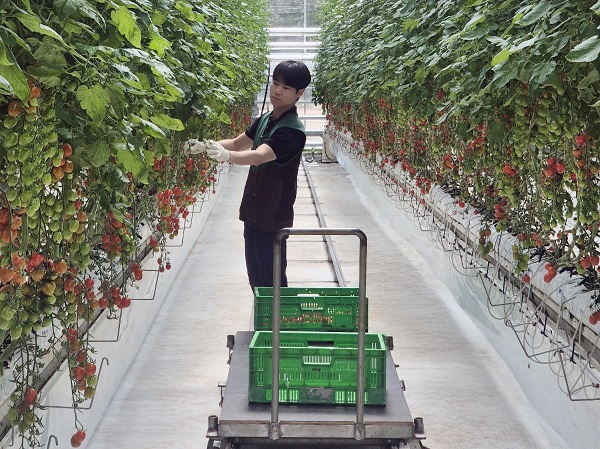 ▲ ⓒGS더프레시