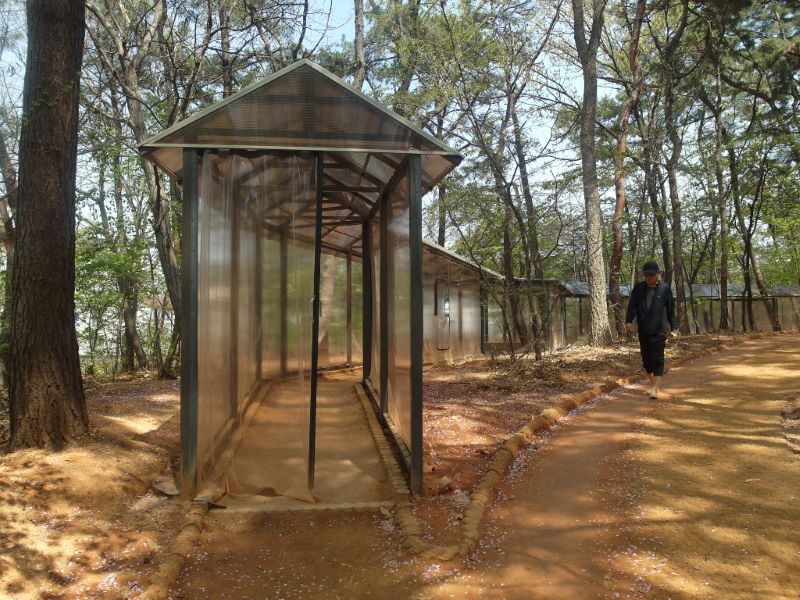 ▲ 천안 청당공원 맨발걷기 길을 한 시민이 걷고 있다.ⓒ천안시