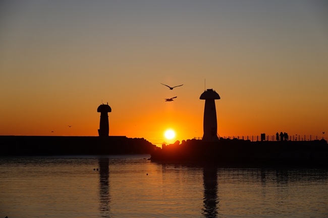 ▲ 물치항 전경. ⓒ양양군