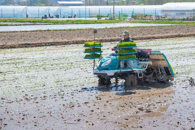 ▲ 강원 고성군이 24일 간성읍 교동리에서 올해 첫 모내기를 실시했다. 올해 첫 모내기는 간성읍 교동리 함종운 농가의 논에서 진행됐다. 이번 모내기에는 약 1400평 규모의 논에 '오대' 품종이 사용됐다. 수확은 8월 중 이뤄질 예정이다. ⓒ고성군