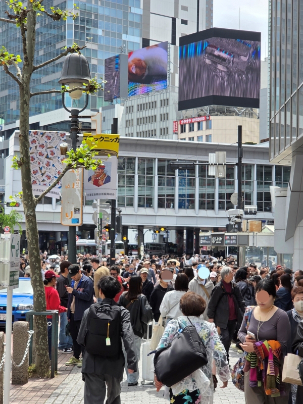 ▲ 17일 시부야 스크램블 교차로와 주요 거리에는 관광객과 젊은 층의 발길이 몰렸다.ⓒ최신혜 기자