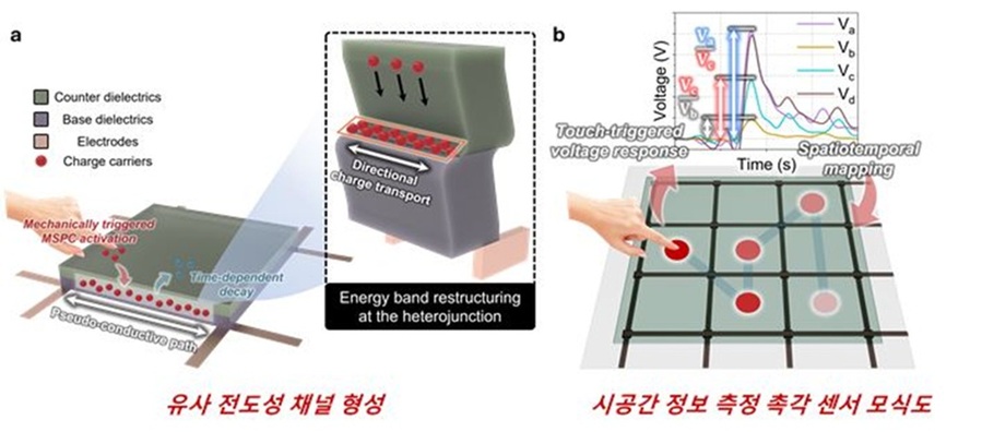 ▲ 전도성 물질 없이 전기적 신호를 전송할 수 있는 기계적 자극을 통한 유사 전도성 채널 및 시공간 촉각 센서 활용 모식도.ⓒ고려대
