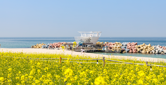 ▲ 지난해 사근진 해변 멀티플 광장 모습. ⓒ강릉시