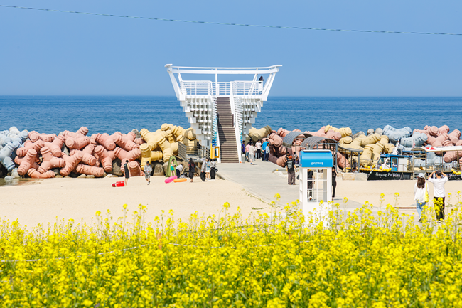 ▲ 지난해 사근진 해변 멀티플 광장 모습. ⓒ강릉시