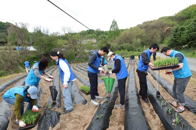 ▲ 건강보험심사평가원이 28일 (사)횡성군농촌체험휴양마을협의회 소속 밤두둑마을에서 출입 전문 기자단과 함께 '농촌 일손 돕기 봉사활동'을 실시했다. ⓒ건강보험심사평가원