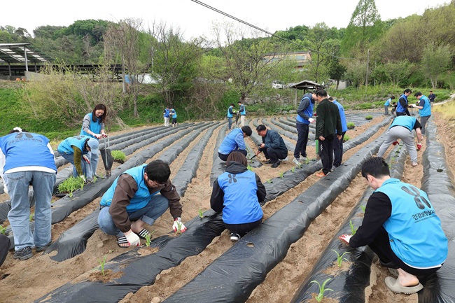 ▲ 건강보험심사평가원이 28일 (사)횡성군농촌체험휴양마을협의회 소속 밤두둑마을에서 출입 전문 기자단과 함께 '농촌 일손 돕기 봉사활동'을 실시했다. ⓒ건강보험심사평가원