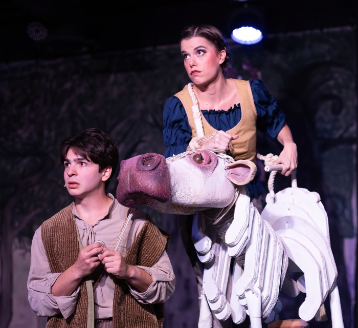 ▲ 제20회 대구국제뮤지컬페스티벌 공동 폐막작으로 선정된 '투인투 더 우즈'.ⓒDIMF