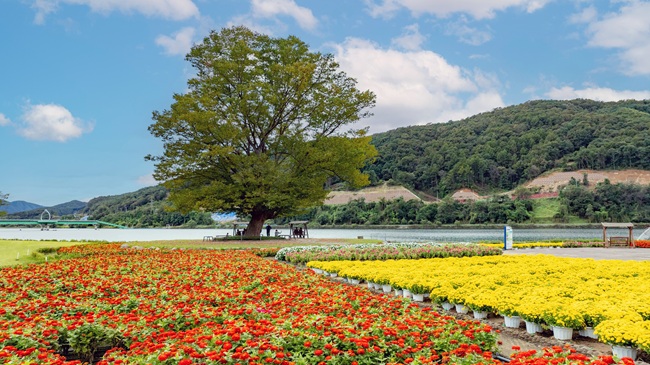 ▲ 거례리 수목공원. ⓒ화천군