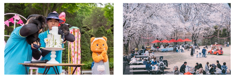 ▲ 지난해 어린이날 체험 행사 모습.ⓒ베어트리파크