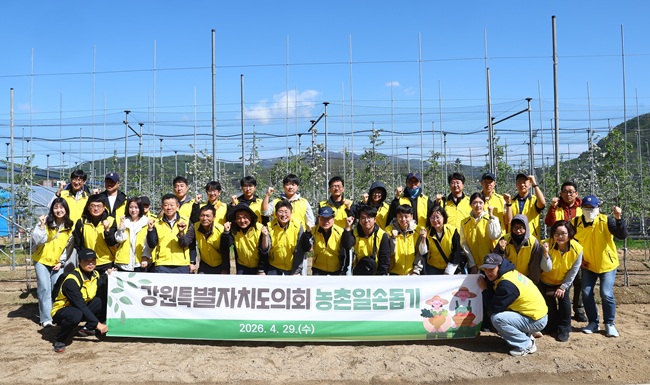 ▲ 강원특별자치도의회 의회사무처 직원 30여 명이 29일 화천군 사내면 일원 사과 농가를 찾아 '농촌일손돕기 봉사활동'을 실시했다. 양원모 의회사무처장은 