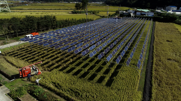 ▲ 고성군 하이면 영농형 태양광 모습.ⓒ한국남동발전