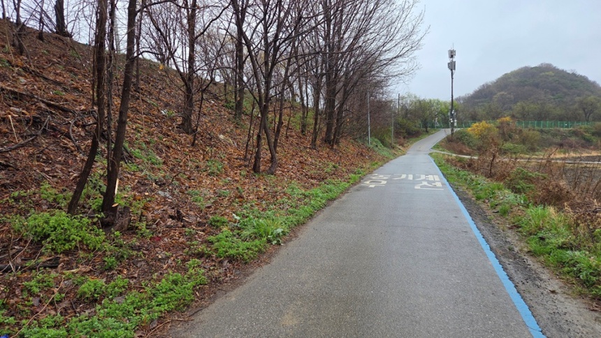 ▲ 파주시는 평화누리길 자전거도로 구간 내 위험수목을 제거했다 ⓒ파주시 제공