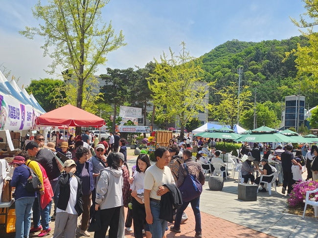 ▲ 홍천 산나물축제에 몰려든 방문객들. ⓒ홍천군