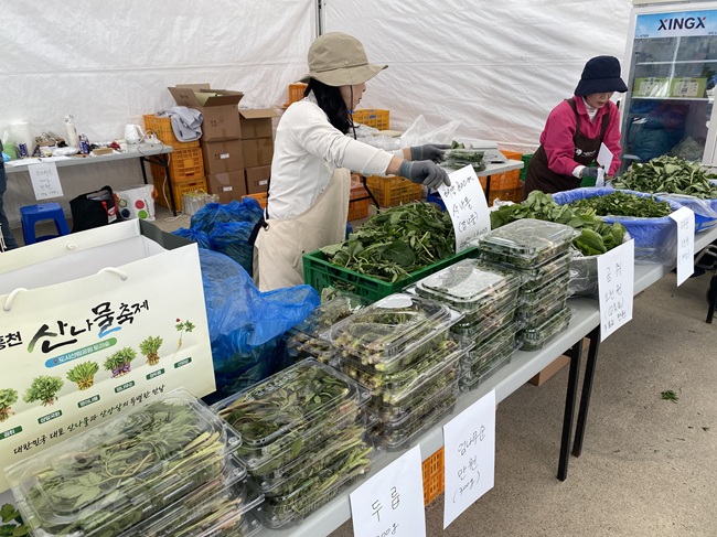 ▲ 홍천 산나물 축제 행사장에서 판매중인 산나물. ⓒ뉴데일리