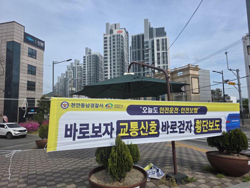 ▲ 교통사고 위험이 높은 주요 교차로와 무단횡단 빈발 지역에 설치된 ‘현장 맞춤형 안전 현수막’.ⓒ천안시