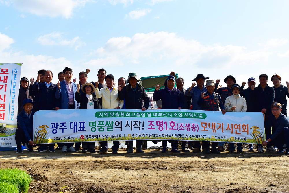 ▲ 광주광역시 농업기술센터는 지난 4일 광산구 본량동에서 '지역 맞춤형 최고품질 쌀 재배단지 조성 시범사업'의 일환으로 조생종 품종 '조명1호' 모내기 시연회를 개최했다. ⓒ광주시 농업기술센터 제공
