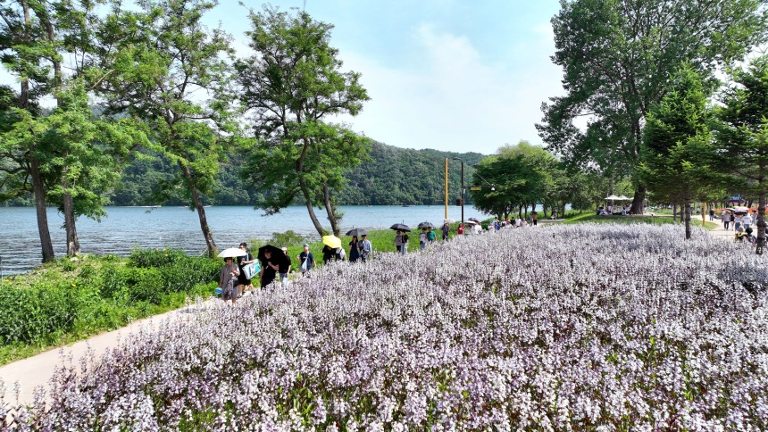 가평군 ‘자라섬 꽃 페스타’ 23일 개막