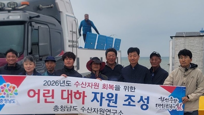 충남 서해 연안에 대하 2000만 마리 방류