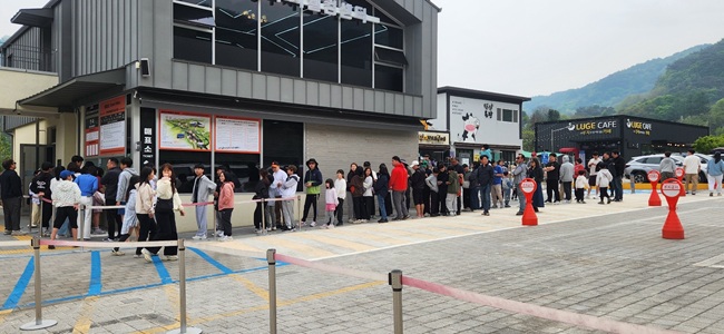▲ 횡성군과 횡성문화관광재단이 지난달 17일부터 본격적인 운영에 나선 '횡성루지체험장'이 지난 5일까지의 운영 성과를 분석한 결과, 총 1만400명의 관광객이 방문해 약 1억2000만 원의 매출을 기록했다고 밝혔다. ⓒ횡성문화재단