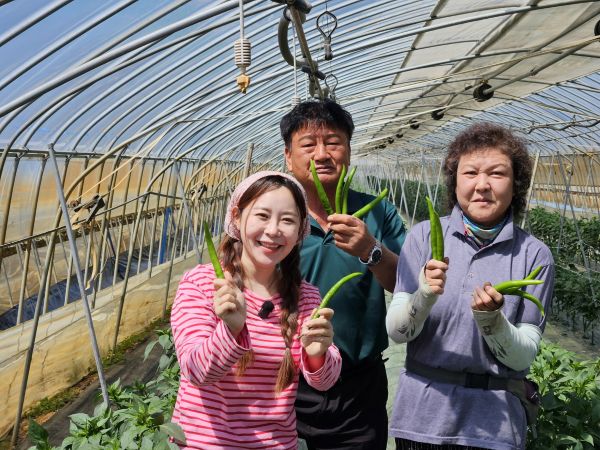 ▲ 이은국·유남순 부부가 6시 내고향 최해정 리포터와 함께 아삭이 청양고추를 살펴보며 웃고 있다.ⓒ청양군