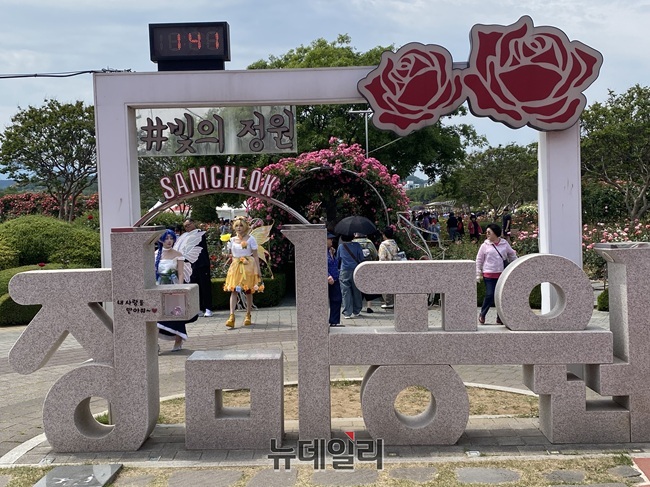 ▲ 삼척시가 19일 삼척 장미축제를 개막했다. 이날 행사장인 장미공원에는 다양한 색깔의 장미들이 활짝 핀 얼굴로 시민들과 관광객들을 만났다. 시는 25일까지 장미나라 퍼레이드, 체험 프로그램, 축하 공연을 비롯한 싱어롱쇼, 블랙이글스 에어쇼 등 공연 프로그램 등 다양한 행사를 선보인다. ⓒ이달수기자