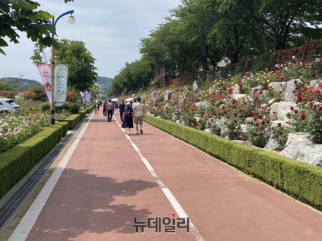 ▲ 삼척시가 19일 삼척 장미축제를 개막했다. 이날 행사장인 장미공원에는 다양한 색깔의 장미들이 활짝 핀 얼굴로 시민들과 관광객들을 만났다. 시는 25일까지 장미나라 퍼레이드, 체험 프로그램, 축하 공연을 비롯한 싱어롱쇼, 블랙이글스 에어쇼 등 공연 프로그램 등 다양한 행사를 선보인다. ⓒ이달수기자