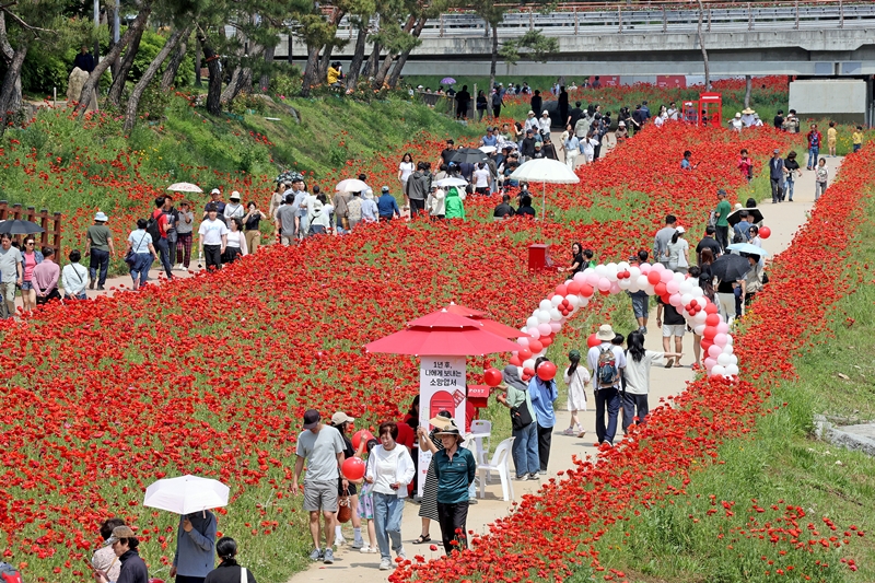 ▲ 2025년 충북 괴산군 빨간맛 페스티벌 현장. ⓒ괴산군