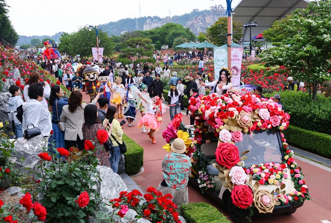 ▲ 23일 강원 삼척 장미공원에 구경나온 주민들과 관광객들 모습. 축제장에는 특설무대를 비롯해 장미 직업체험, 장미나라 책 만들기 체험, 장미 테마 체험, 먹거리존, 굿즈·로컬 콘텐츠 부스, 장미정원 포토존, 장미나라 퍼레이드 등이 마련됐다. 축제는 25일까지 진행된다. ⓒ삼척시