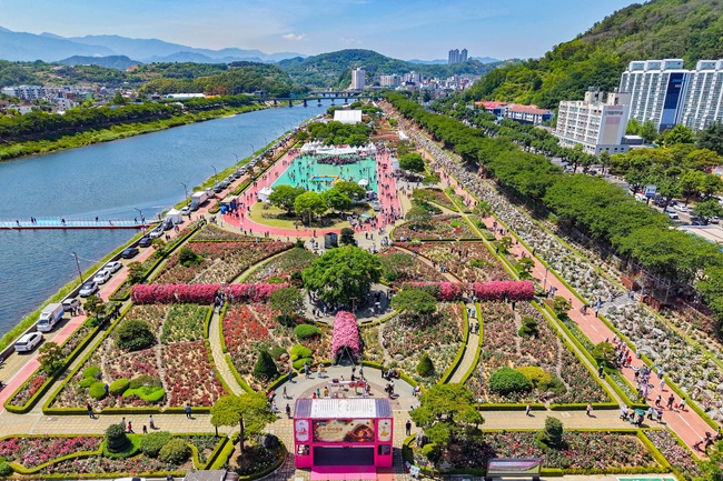 ▲ 삼척관광문화재단이 주최·주관한 '2026 삼척 장미축제'가 성황리에 막을 내렸다. ⓒ삼척관광문화재단