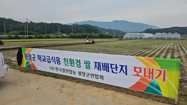 ▲ 한국쌀전업농 평창군연합회가 26일 평창읍 후평리 611번지 일원 친환경 벼 과제포에서 학교급식용 친환경 쌀 재배를 위한 모내기 행사를 개최했다. 이날 행사에는 전명준 쌀전업농평창군연합회 회장을 비롯해 회원들과 김성수 평창군농업기술센터 소장 및 직원 등 70여 명이 참석했다. ⓒ평창군