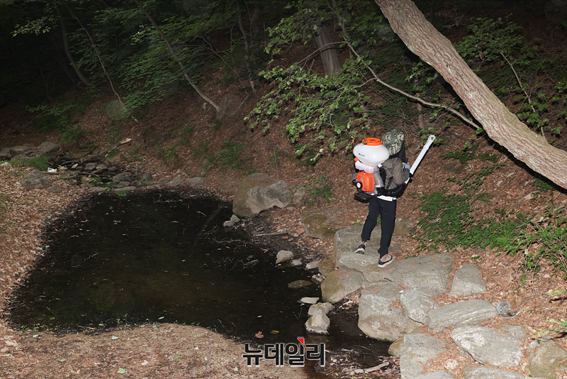 ▲ 서울시 관계자들이 7일 오후 서울 노원구 삼육대학교에서 러브버그 유충 방제를 위한 BTI 미생물 방제제를 살포하고 있다. ⓒ서성진 기자