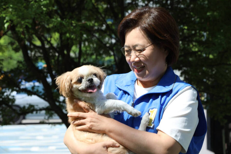 ▲ 민주당 손화정 후보가 반려견을 껴안고 쓰다듬고 있다. 손 후보는 영종구를 반려견 친화도시로 만들겠다고 공약했다. ⓒ손화정 후보 캠프 제공
