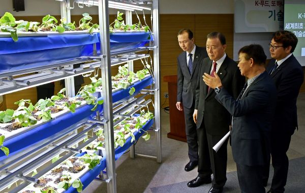 ▲ 홍문표(왼쪽 두 번째) 한국농수산식품유통공사(aT) 사장이 '사계절 딸기 생산을 위한 기술설명회'에서 사계절 딸기 생산기술에 대해　설명을　듣고　있다．ⓒaT