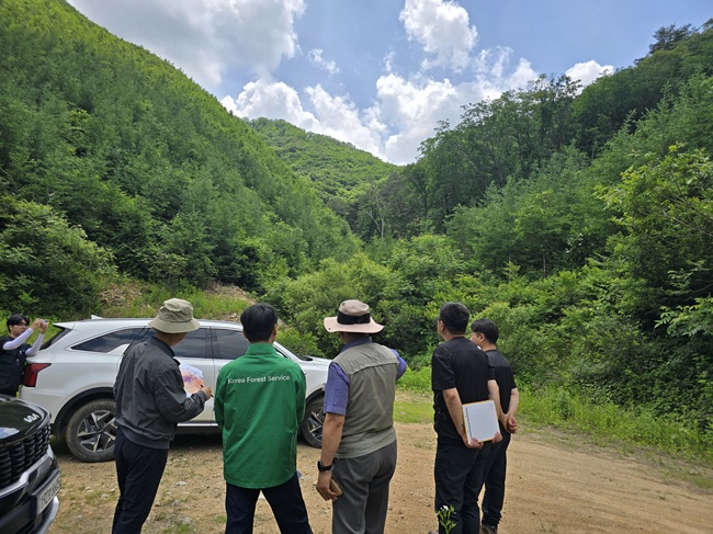 ▲ 송준호 북부지방산림청장이 8일 지난 2019년 강원 인제 지역에서 발생한 대형산불 피해지(256ha)를 방문해 산림 복구 및 사후관리 실태를 점검했다. ⓒ북부지방산림청