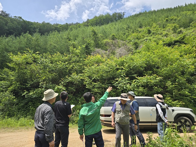 ▲ 송준호 북부지방산림청장은 
