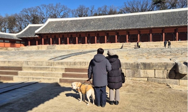 ▲ 2025년 궁능 현장영상해설 (종묘, ’25.12.4.) ⓒ국가유산청