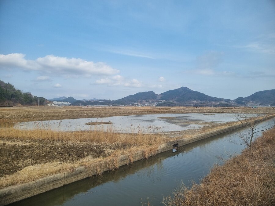 ▲ 철새 서식지 전경ⓒ금호석유화학그룹