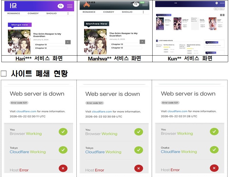 ▲ 불법사이트 서비스 화면 및 사이트 폐쇄 현황.ⓒ문체부