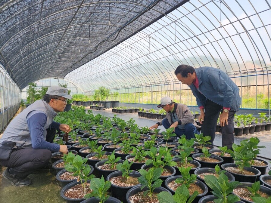 ▲ 함평군 농업기술센터 현장 지도 모습ⓒ함평군 제공
