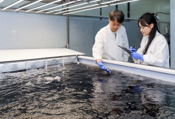 ▲ 경기도 수원시에 위치한 CJ제일제당 블로썸파크에서 연구원들이 배양 중인 육상양식 김 상태를 점검하고 있다.ⓒCJ제일제당