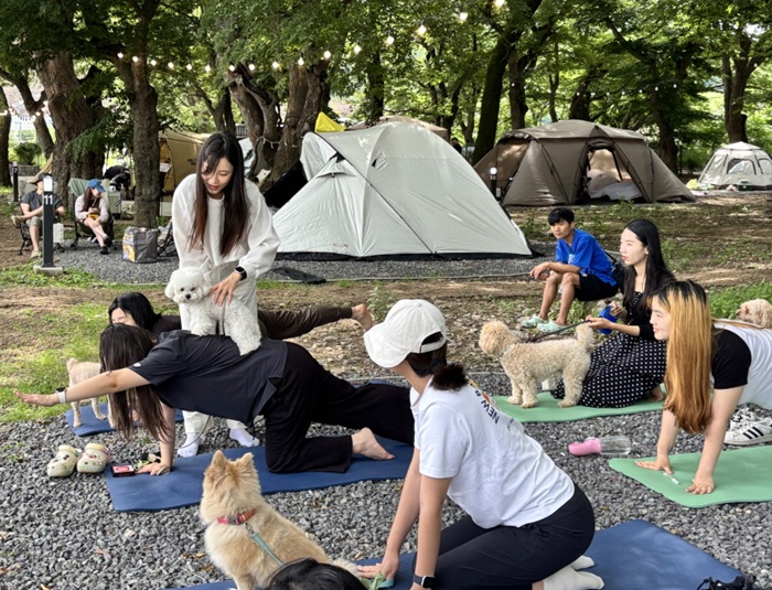 ▲ 멍멍멍 힐링캠프 행사 모습.ⓒ공주시