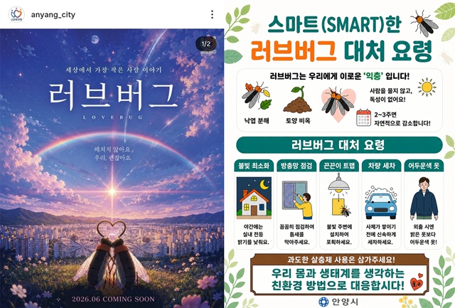 ▲ 안양시가 지난 22일 SNS에 게재했다 삭제한 러브버그 포스터(왼쪽)와 새로 게재한 러브버그 대처요령 포스터. ⓒ안양시 제공