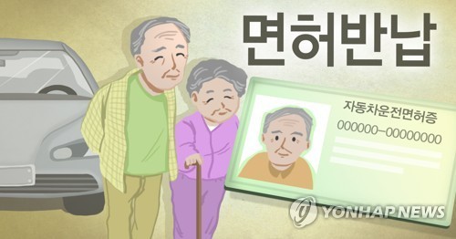 ▲ 고령운전자 운전면허 반납 (PG) ⓒ연합뉴스